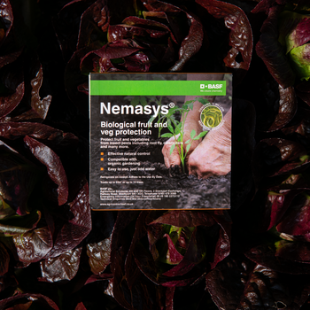 Nemasys Fruit and Veg Protection