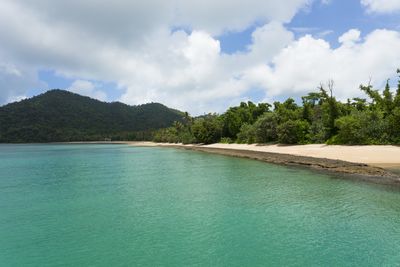 Dunk Island (1) credit TTNQ.jpg