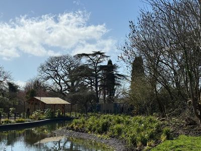 GA Moat View with Gorilla Island and Shelter.jpg
