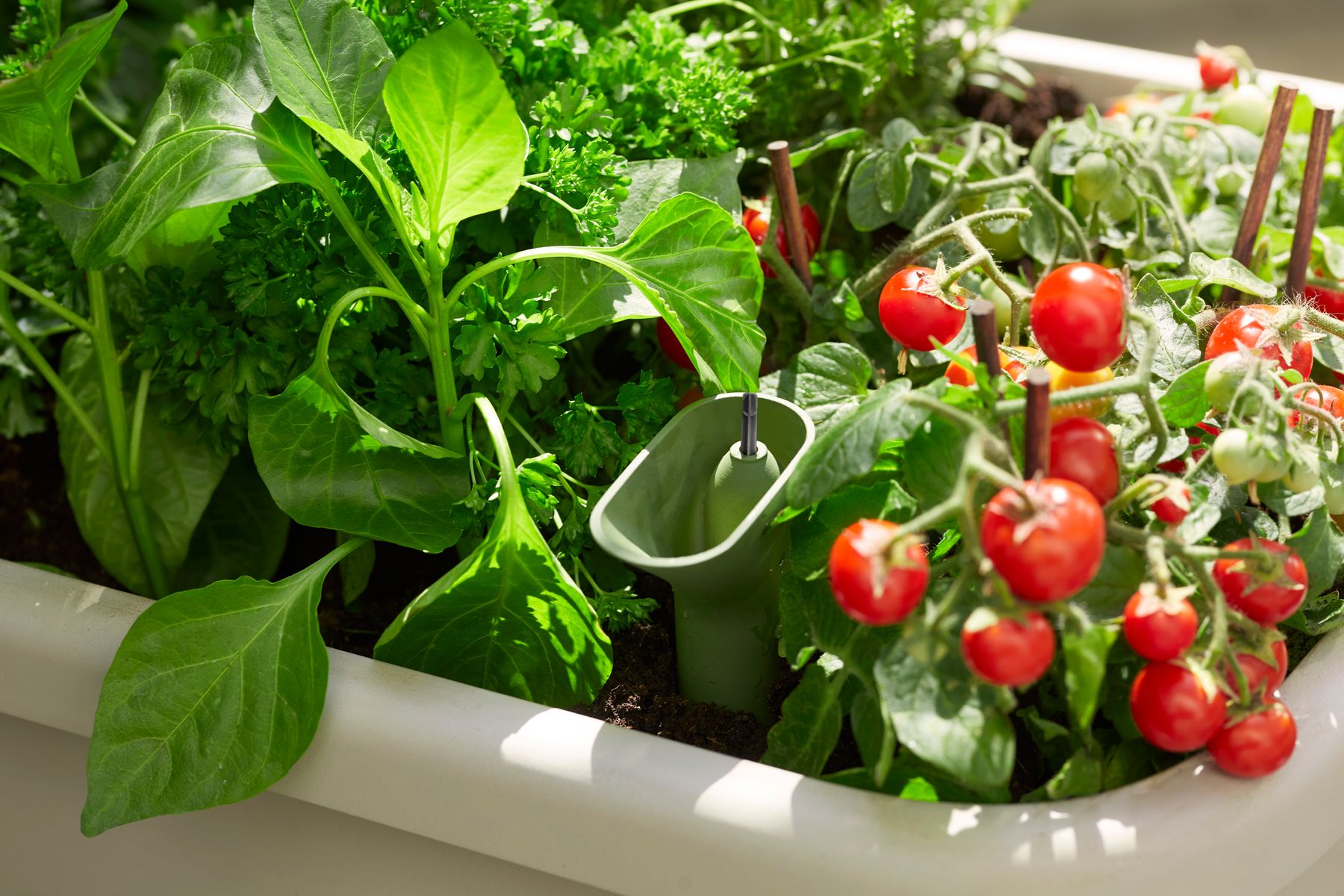 noa grow table