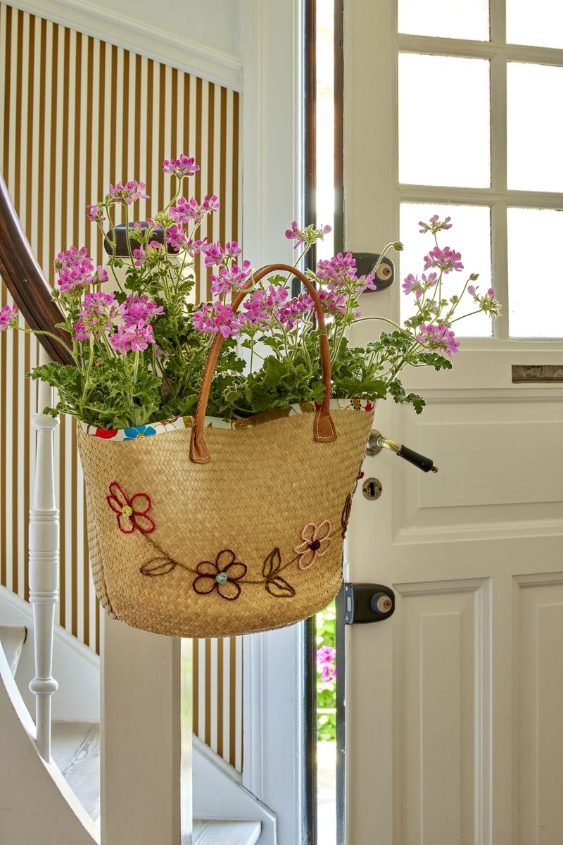 2023_Geraniums_2000_Coastal_Peace_Garden_46.jpg