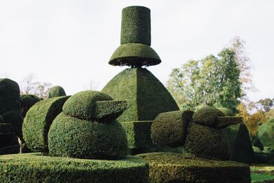 Topiary at Levens Hall, Cumbria, UK