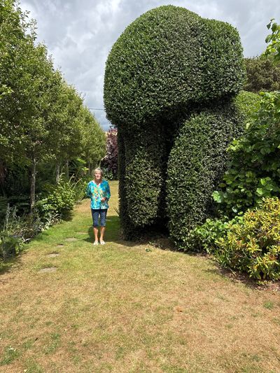Angela Hawkins - Second Place in UK Home Gardener Category