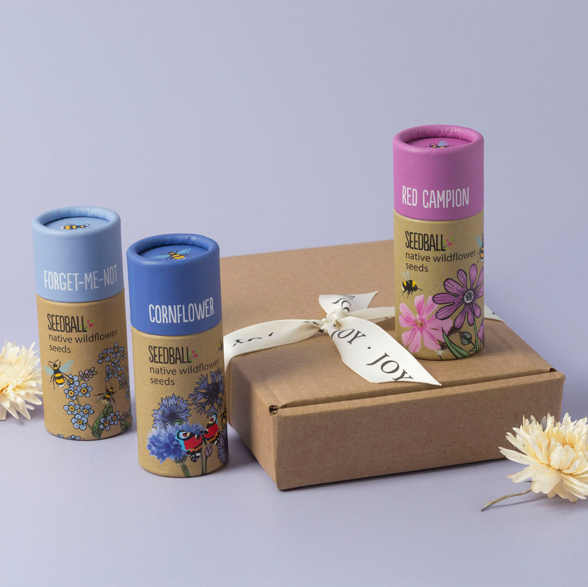 Seedball subscription box.png