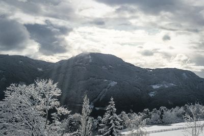 Blick nach Kohlern 2(c)Maria Holzner.jpg