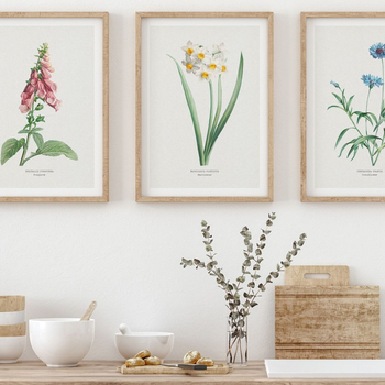 Suggested Header 2000px Set of Three Vintage Flower Prints - Vintage Botanical Prints - Natural Frame.jpg