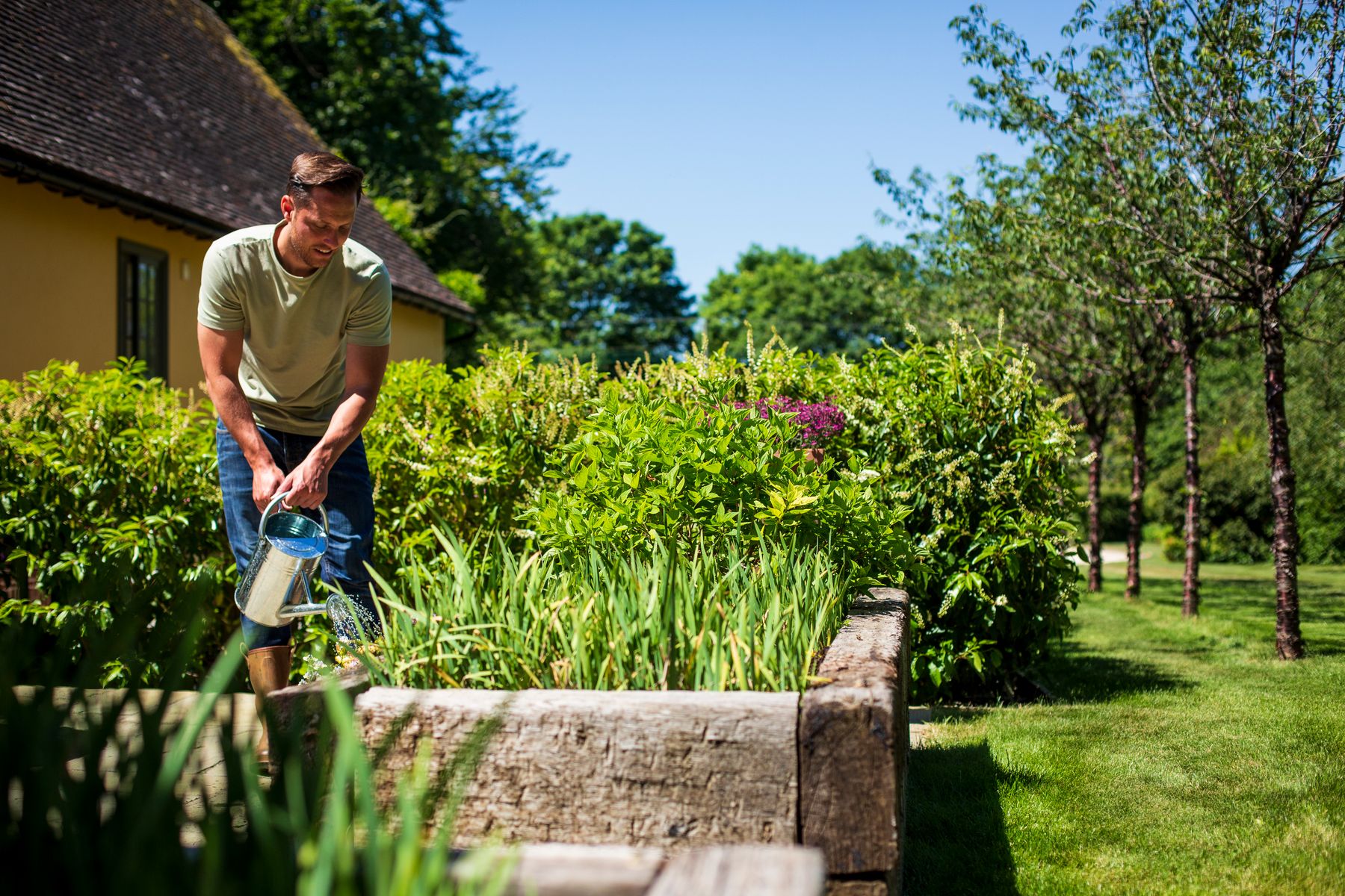 Watering the garden with Maxicrop