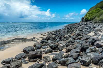 Credit Ricardo Stephan [Unsplash] - Rodrigues II.jpg