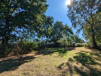 Spinney Wild 3.jpg