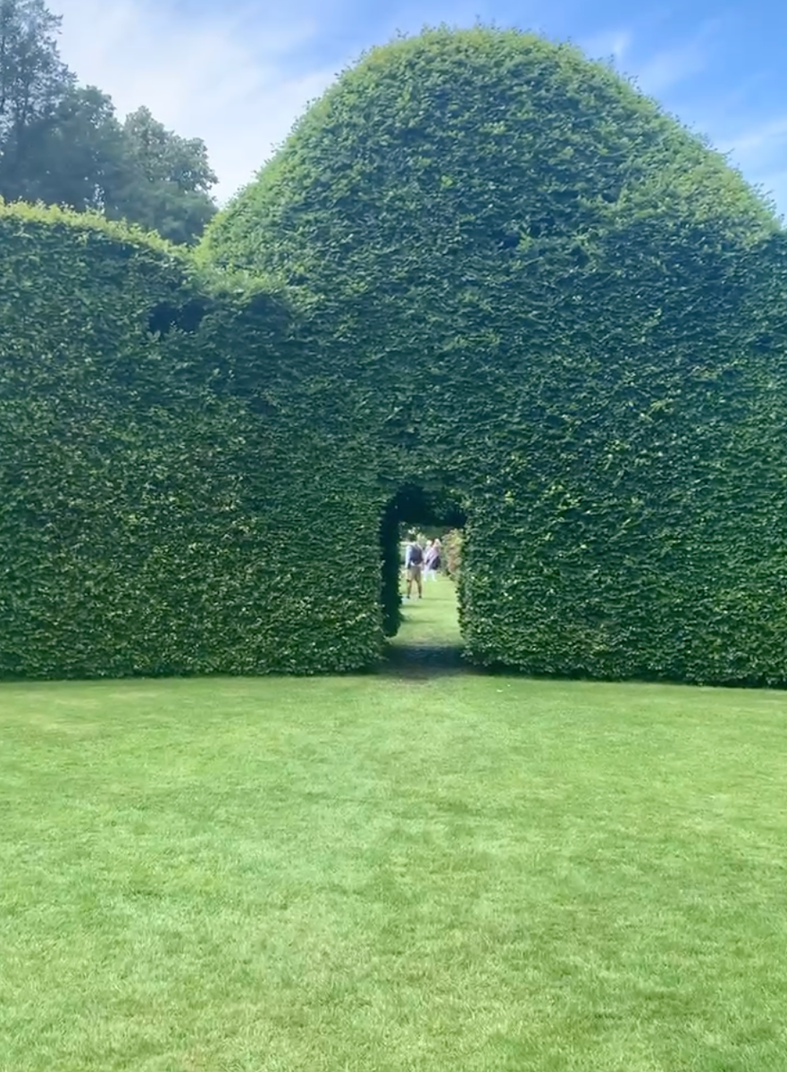 Looking through the huge Beech Hedge from the Beech Circle at Levens Hall and Gardens, the South Lakes, Cumbria