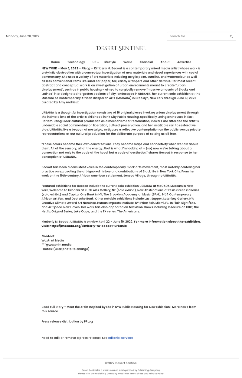 desertsentinel_com__meet-the-artist-inspired-by-life-in-nyc-public-housing-for-new-exhibition_6386_.png