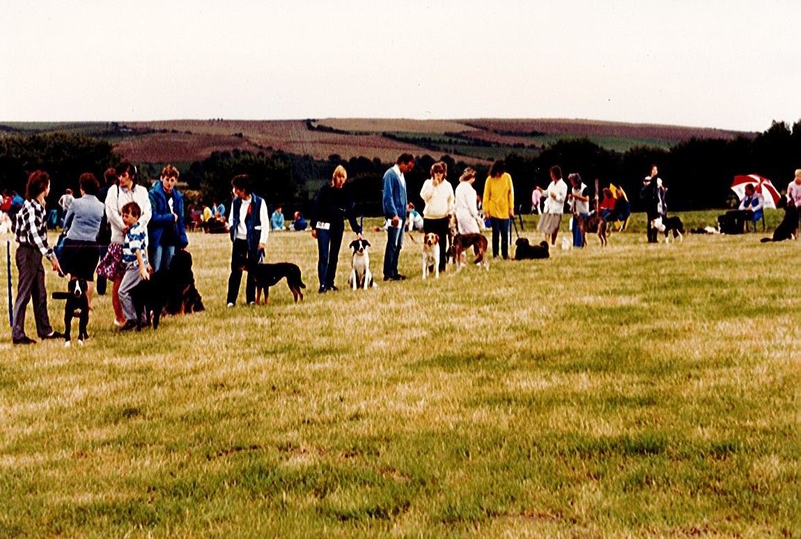 ARCHIVE IMAGE - Date Unknown - Dog Show at Margaret Green Animal Rescue.jpg