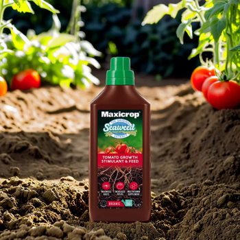 Maxicrop Tomato Growth Stimulant and Feed