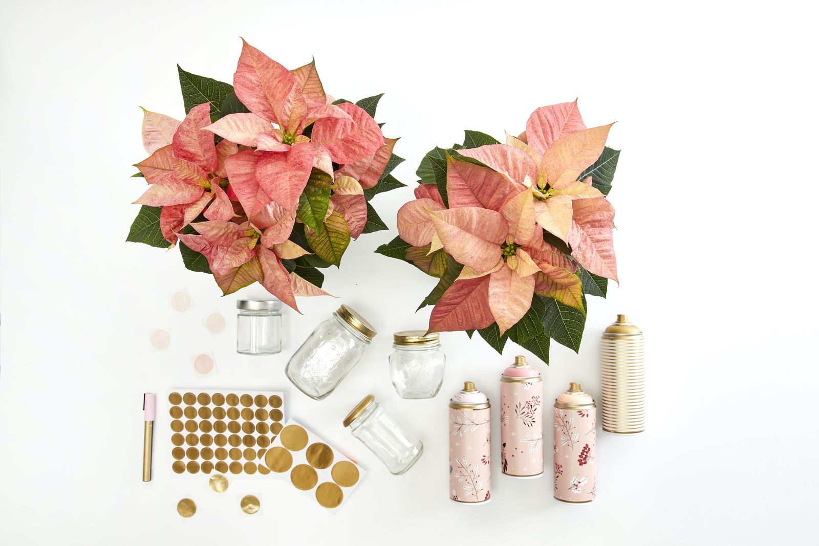 2022_poinsettia_04110_DIY_Advent_Calendar_with_Painted_Jars_01.jpg