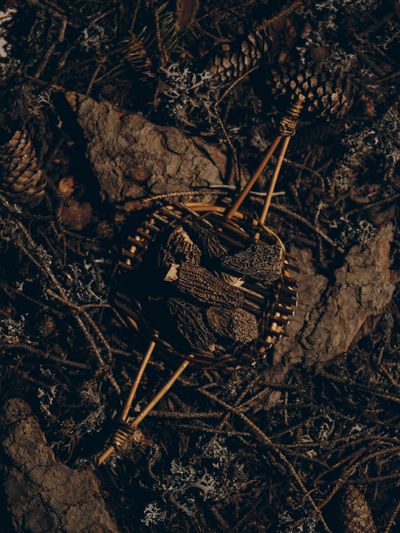 YERA-Food-1©Charlotte Lapalus-FORESTIS (3).jpg
