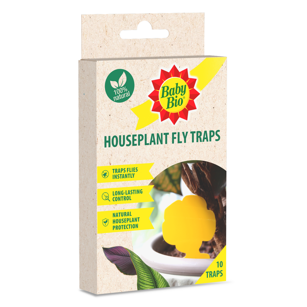 Baby Bio Houseplant Fly Trap