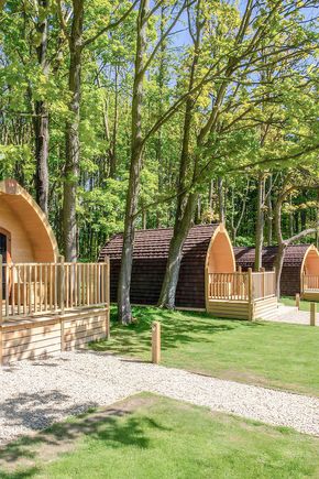 Wighill Park Glamping.jpg