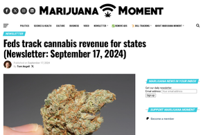 Screencapture of Marijuana Moment