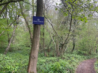 Woodlands