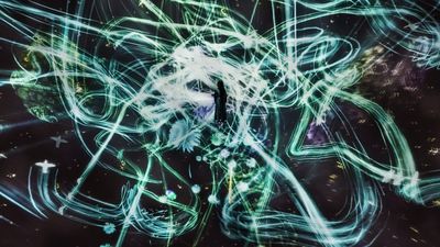 4_Crows are Chased and the Chasing Crows are Destined to be Chased as well, Cosmic Void_Jeddah_┬⌐ teamLab.jpg