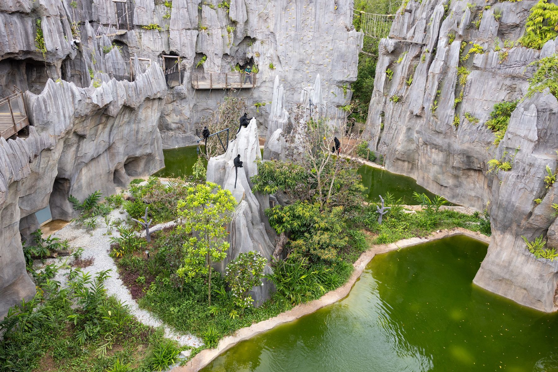 Rainforest Wild Asia - The Karst, home to charismatic troop of five Francois langurs. Photo Credit_Mandai Wildlife Group.jpg