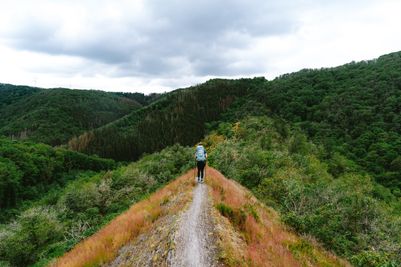 Lee-Trail-Day-1-JDJ57-Molberlee-©Jochem-de-Jong-Visit-Luxembourg.jpg