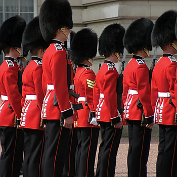 Fotolia Guards