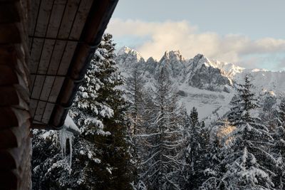 OdlesLodge-Nature-Winter-©Odles Lodge_Konstantin Volkmar (27).jpg