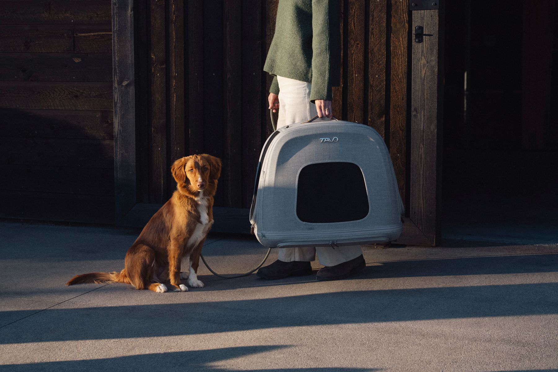 PRODUCT | *New* Crispin Pet Travel Crate