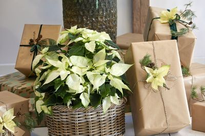 2022_poinsettia_02000_Urban_Loft_Christmas_14.jpg