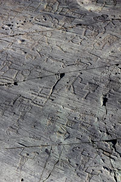 petroglyphs in Val Camonica shutterstock_1558043441.jpg
