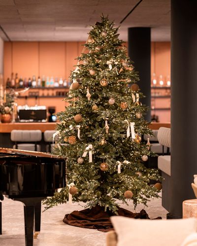 Florian_Andergassen_web_Christmas_2.jpg