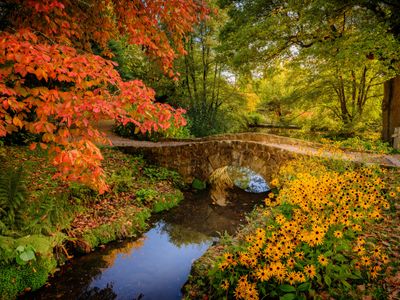Wakehurst