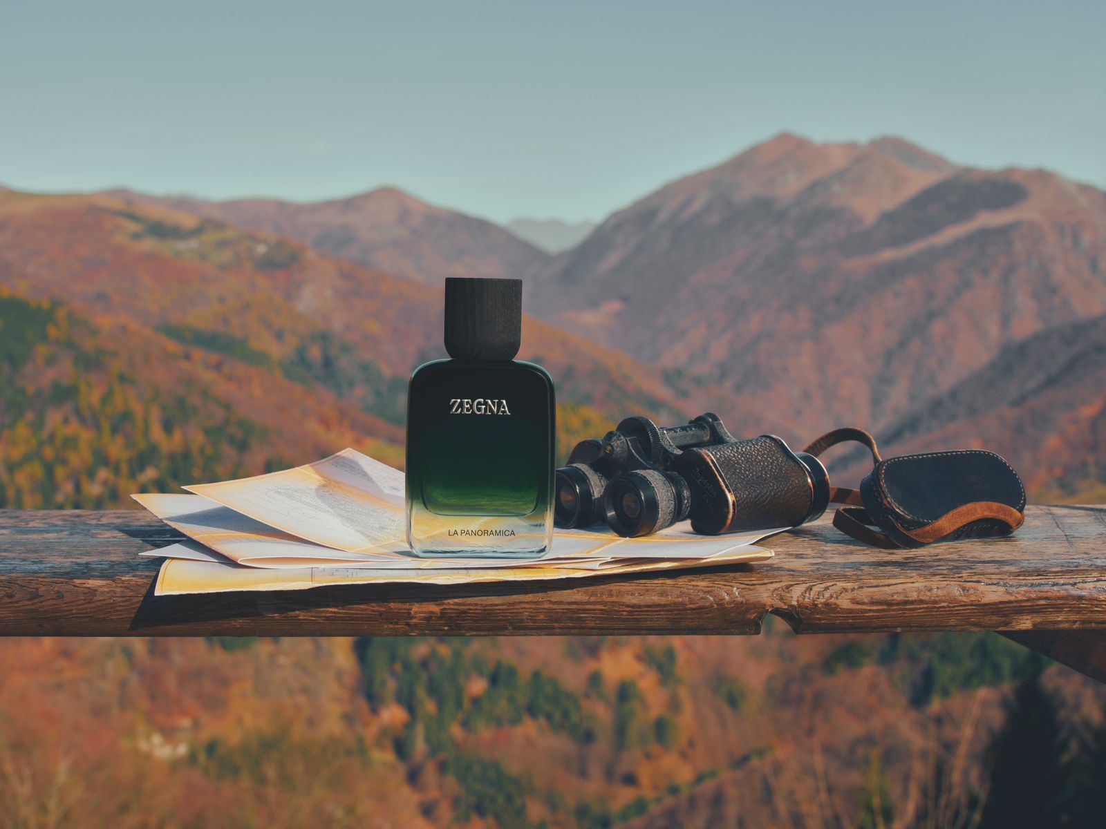 Vol. V — LA PANORAMICA
