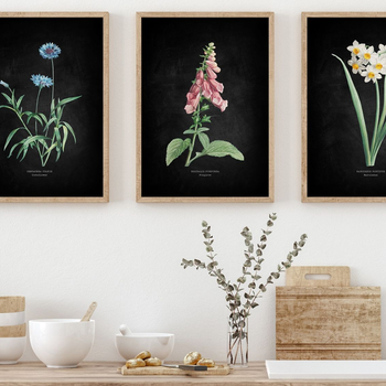 Suggested Header 2000px Florals.jpg