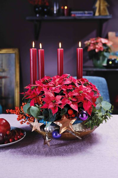 Poinsettia table decoration.jpg