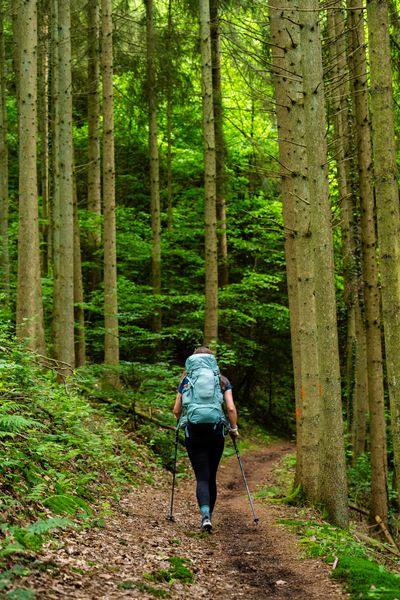 Lee-Trail-Day-1-JDJ43-©Jochem-de-Jong.jpg