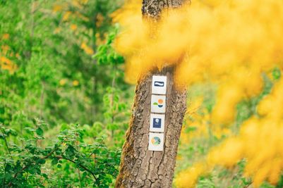 Lee-Trail-2025-LPB12-©Leptitbaroudeur.jpg