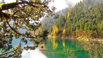 Jiuzhaigou (4).jpg