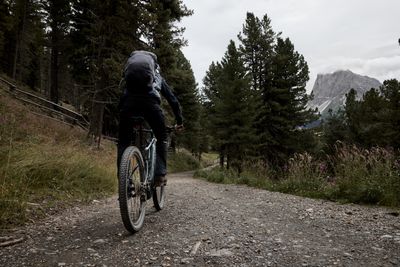 FORESTIS-Activities-02.jpg