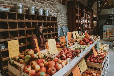 Ramborn_2019Harvest_58©LFT_VéroniqueKolber.jpg