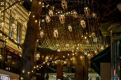 PinPep_TheYardsXmasLights_SJ_203.JPG