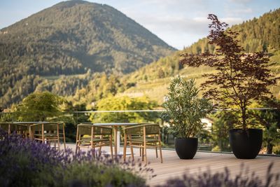 Alpiana_Terrace1.jpg