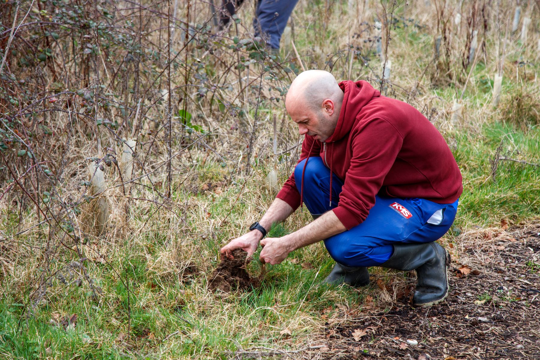 Ecotone employees take Green Leave to plant 1,000 trees at Shinfield St. Mary’s School in Reading with The Tree Council, photo credit - Simon Murrell photography (7).jpg