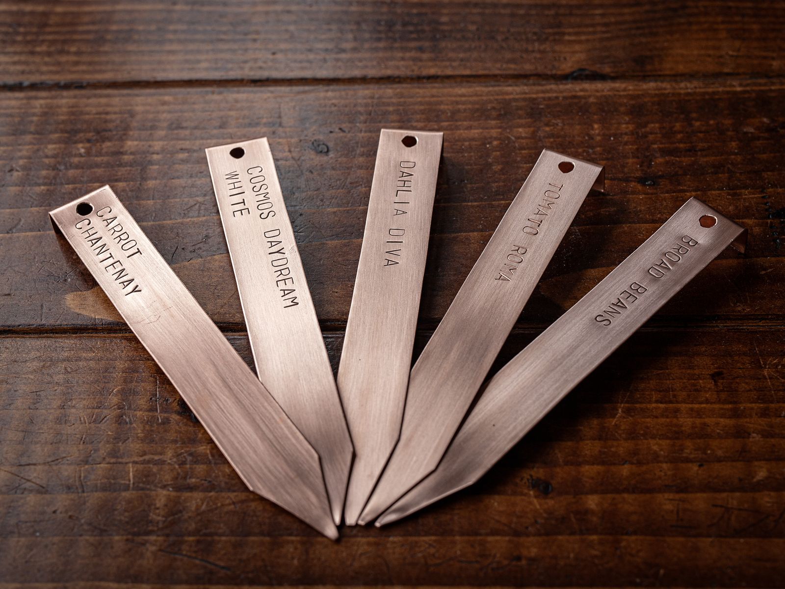 Copper Plant Labels (customisable)