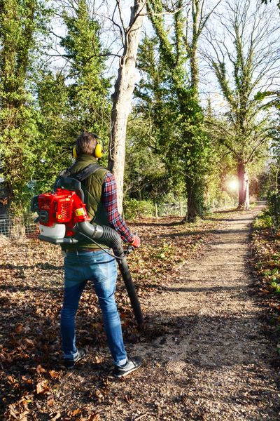 BP43C Backpack Blower