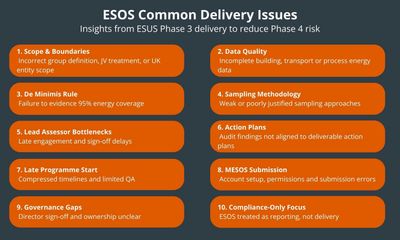 ESOS-Common-Delivery-Issues