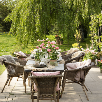 2023-Geraniums-4000-Warm-Country-Chic-13.jpg