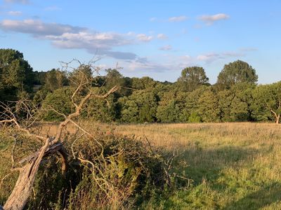 Langley Wilding Campsite 12.jpg