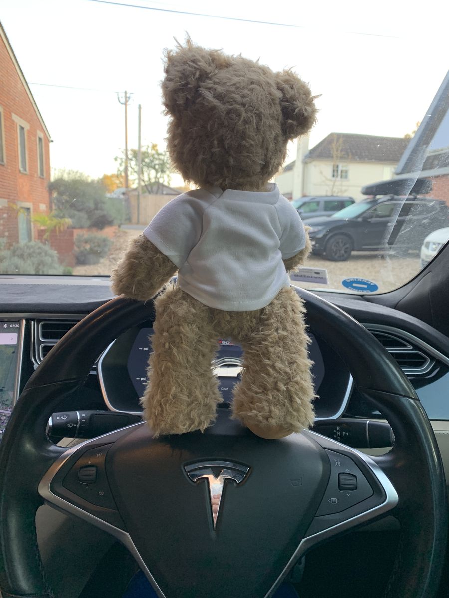 Ted at the wheel